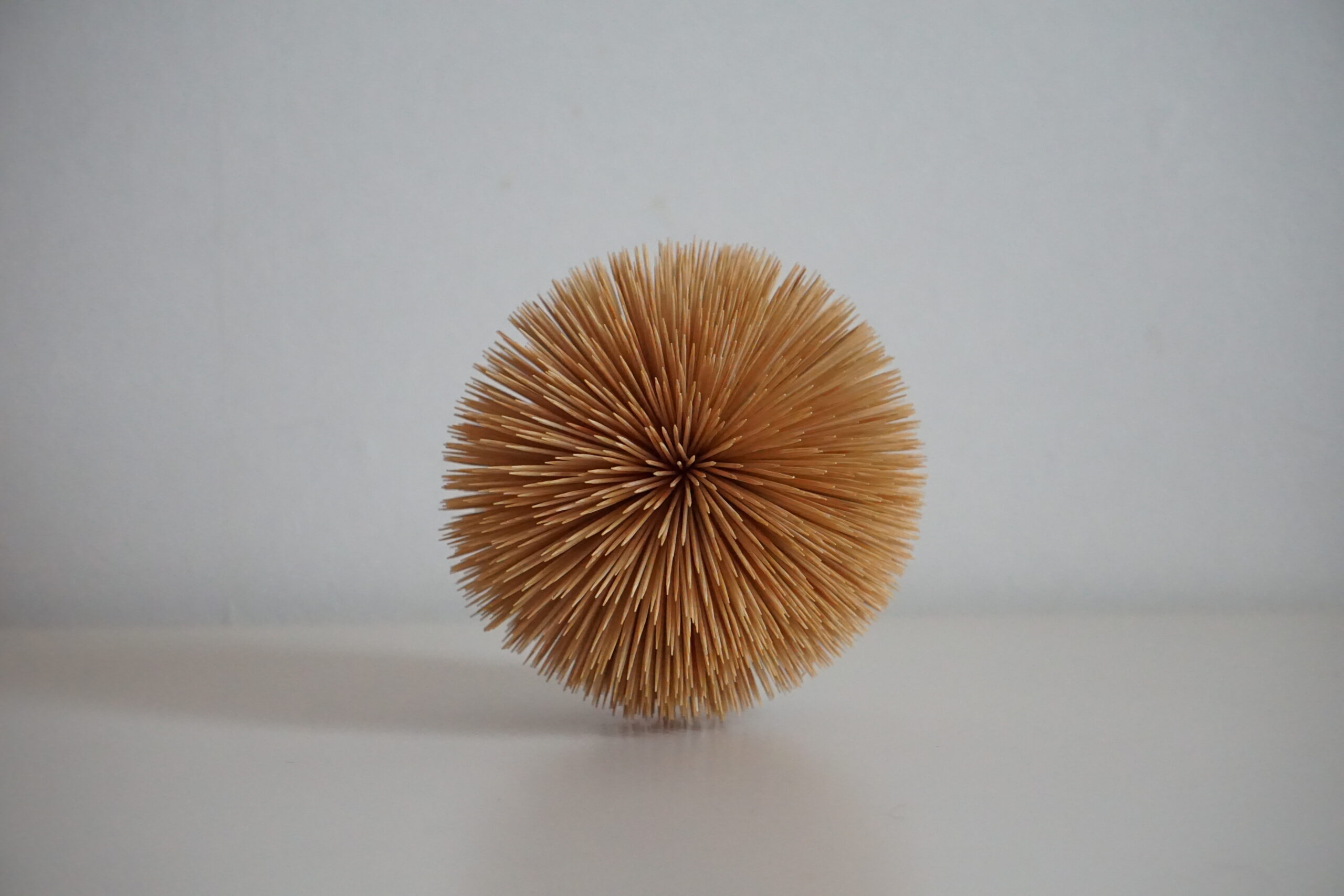 urchin